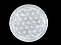 Piastra di ricarica Fiore della Vita in Selenite