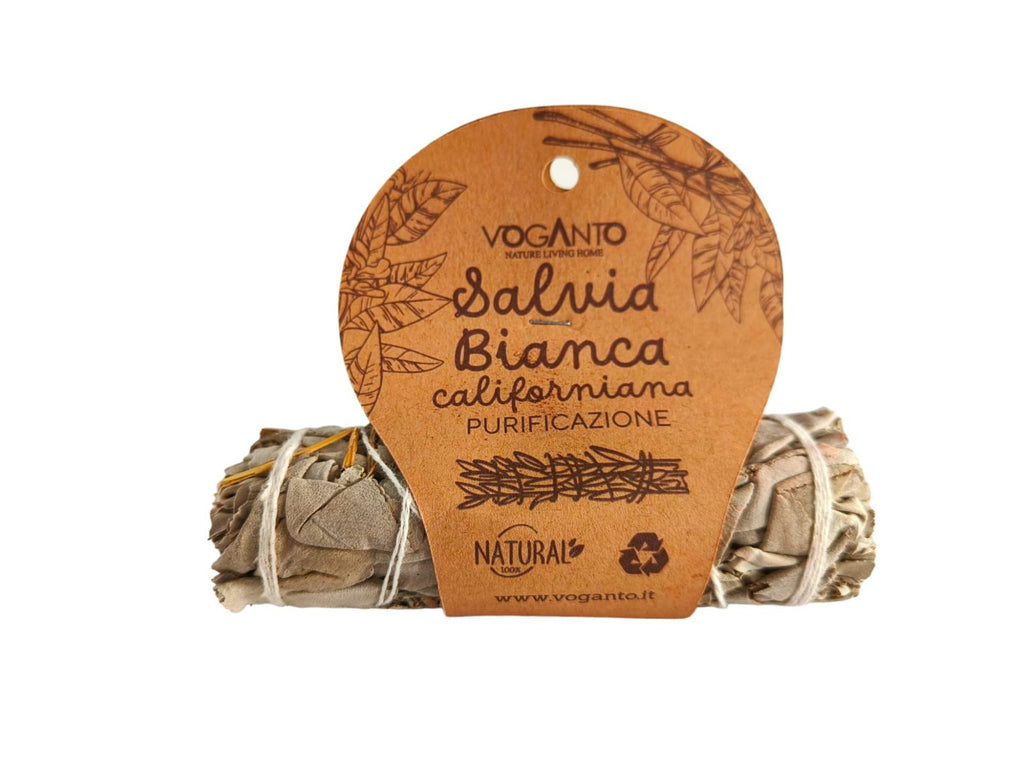 Salvia Bianca